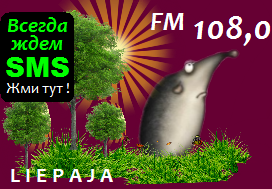 Студийный Ёж
